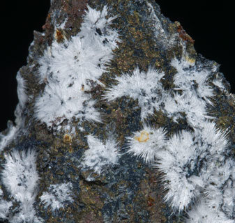 Canavesite with Pyrite. 