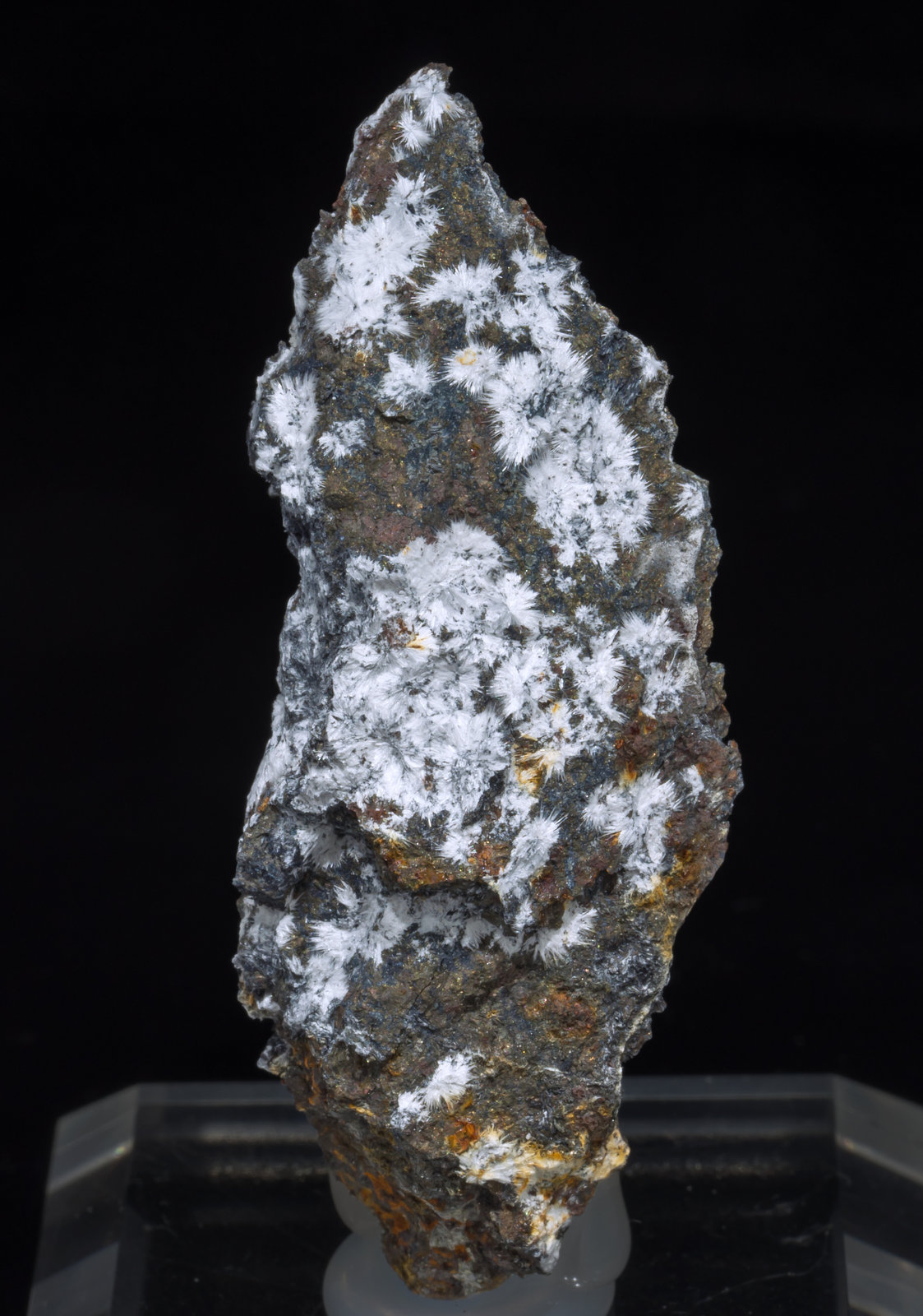 specimens/s_imagesAC7/Canavesite-SD46AC7f.jpg