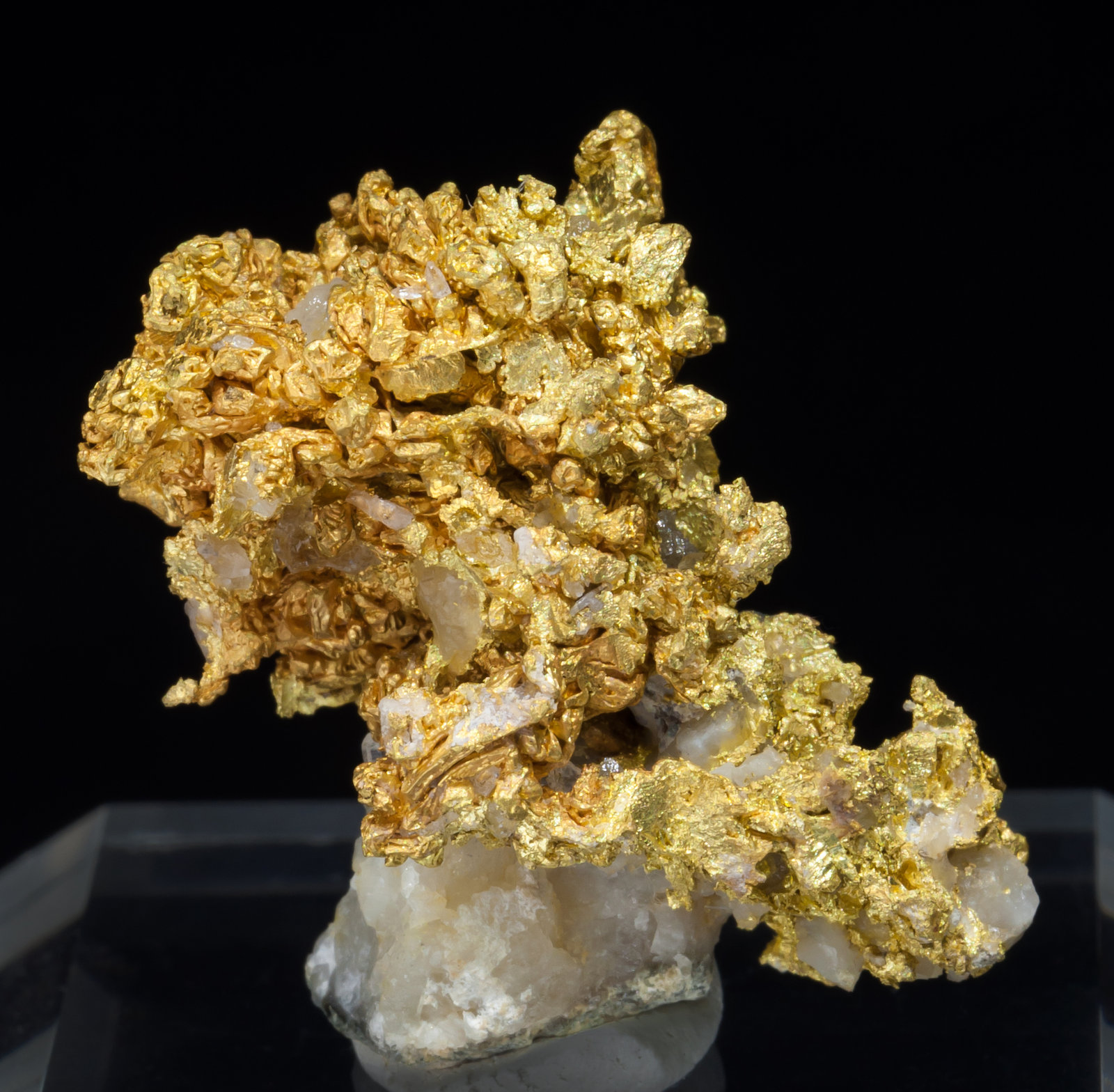 specimens/s_imagesAC7/Gold-MA8AC7f.jpg