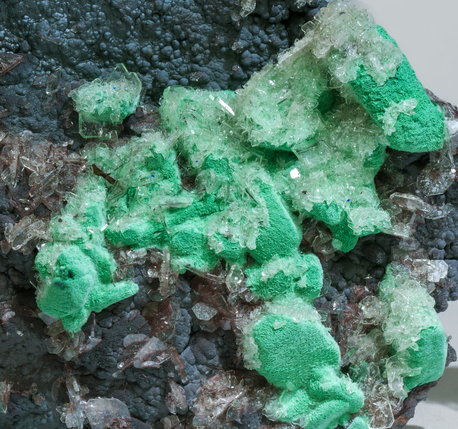 specimens/s_imagesAC8/Malachite-TJ50AC8d1.jpg