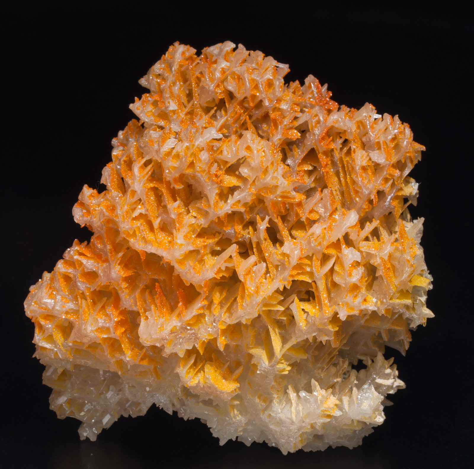 specimens/s_imagesAC8/Mimetite-EF50AC8f.jpg