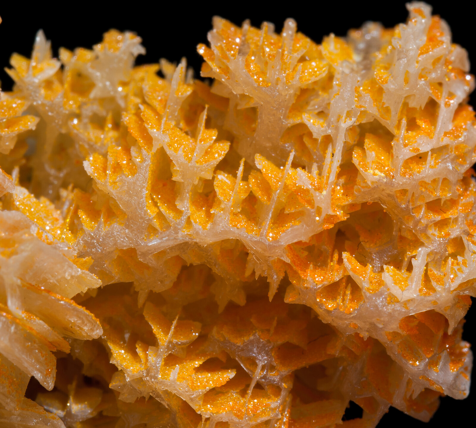 specimens/s_imagesAC8/Mimetite-EK88AC8d.jpg