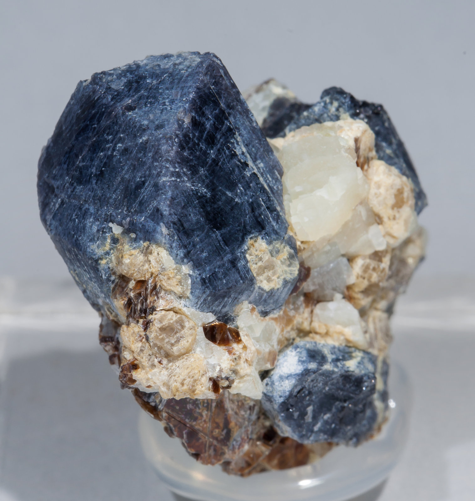 specimens/s_imagesAC8/Sapphirine-MX6AC8f.jpg