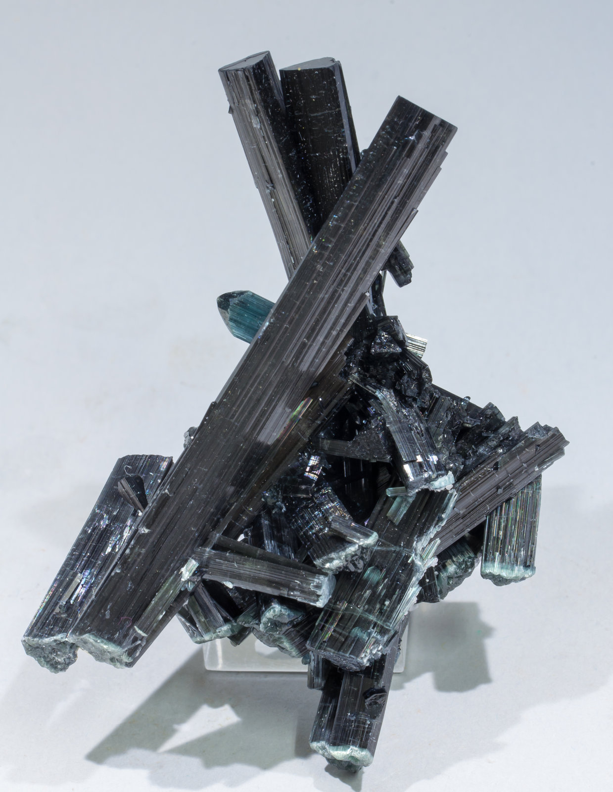 specimens/s_imagesAC9/Elbaite_indicolite-ER67AC9f1.jpg