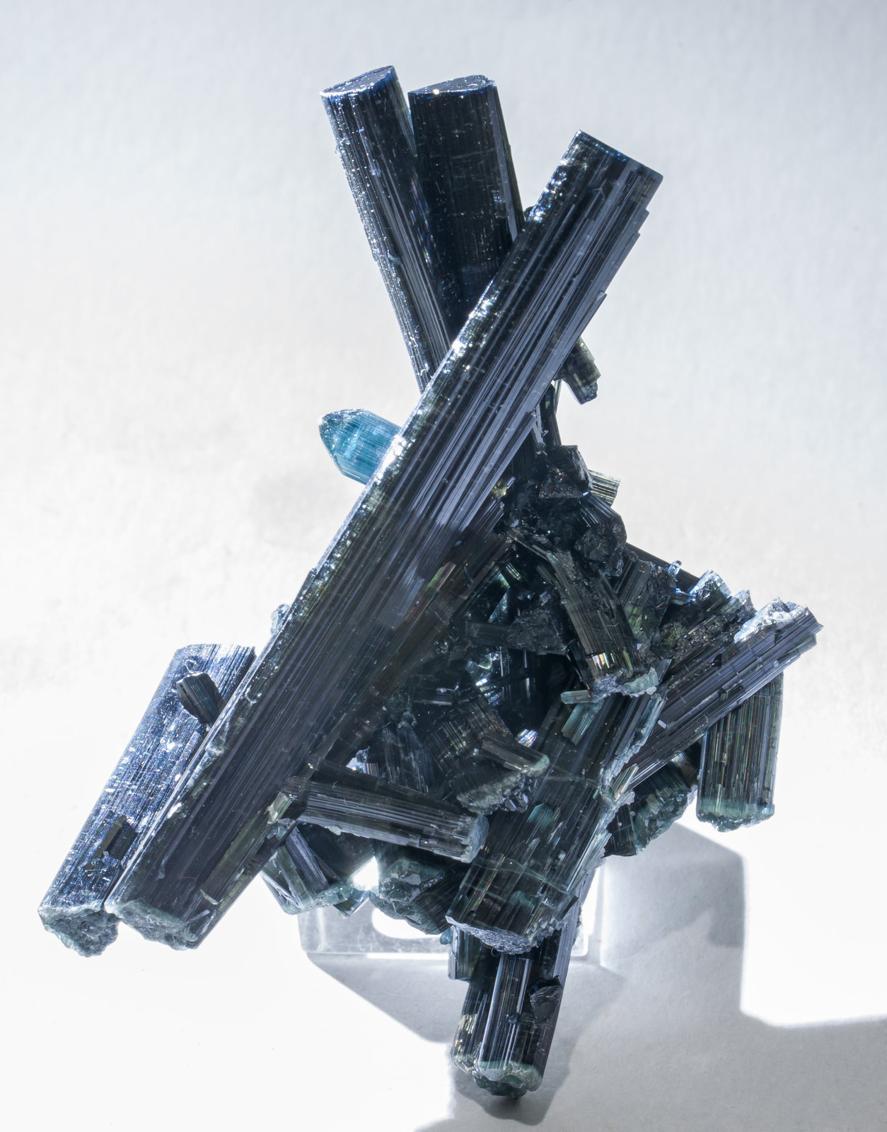 specimens/s_imagesAC9/Elbaite_indicolite-ER67AC9f2.jpg