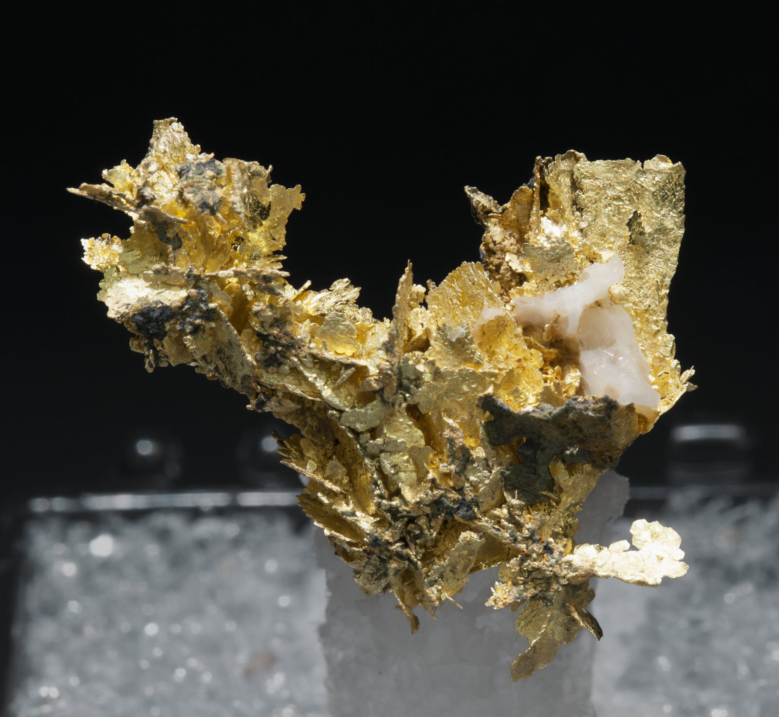 specimens/s_imagesAC9/Gold-TA30AC9f.jpg