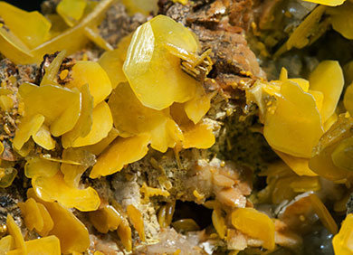 Wulfenite with Dolomite. 