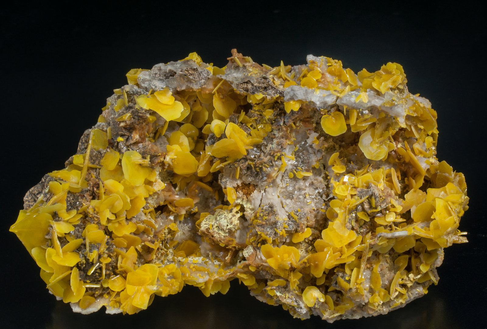 specimens/s_imagesAC9/Wulfenite-N67DAAC9f.jpg