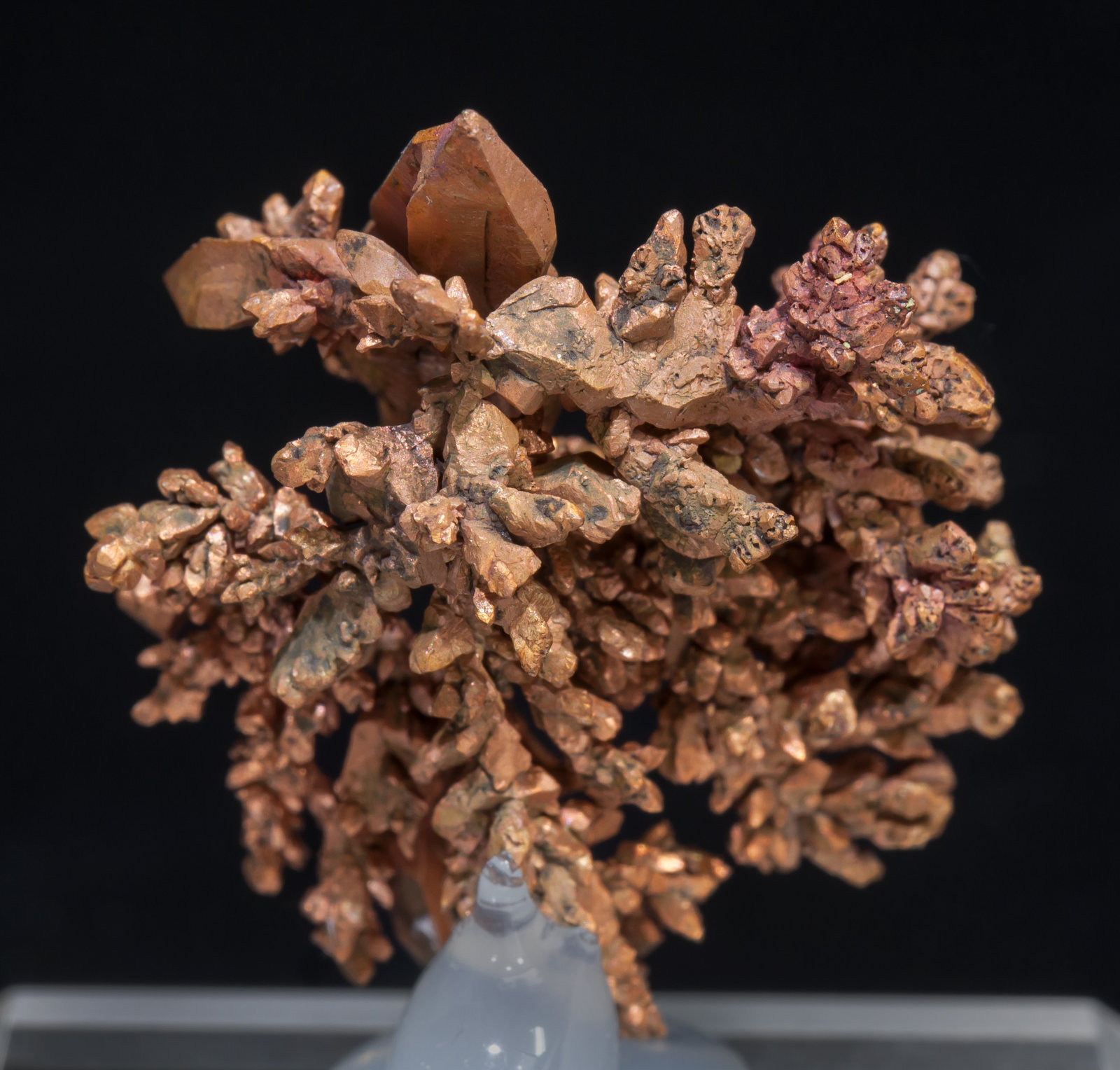 specimens/s_imagesAD1/Copper-TE48AD1r.jpg