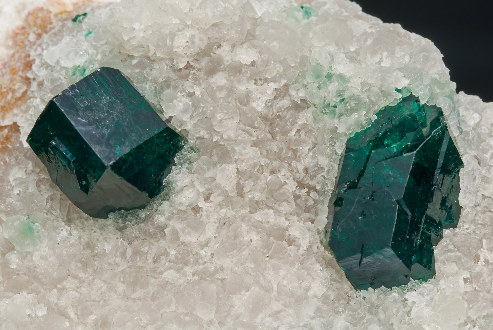 specimens/s_imagesAD1/Dioptase-TA92AD1d.jpg