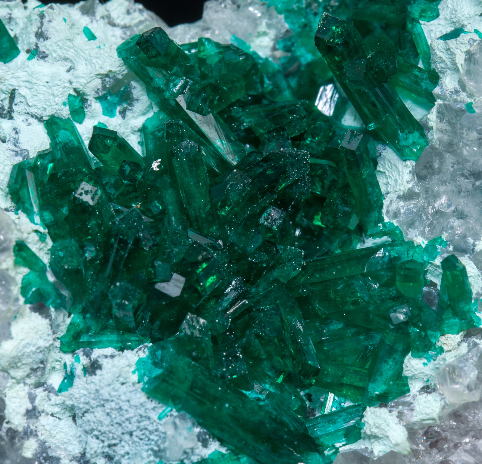 specimens/s_imagesAD1/Dioptase-TR89AD1d.jpg