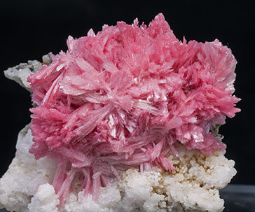 Rhodonite with Calcite. 