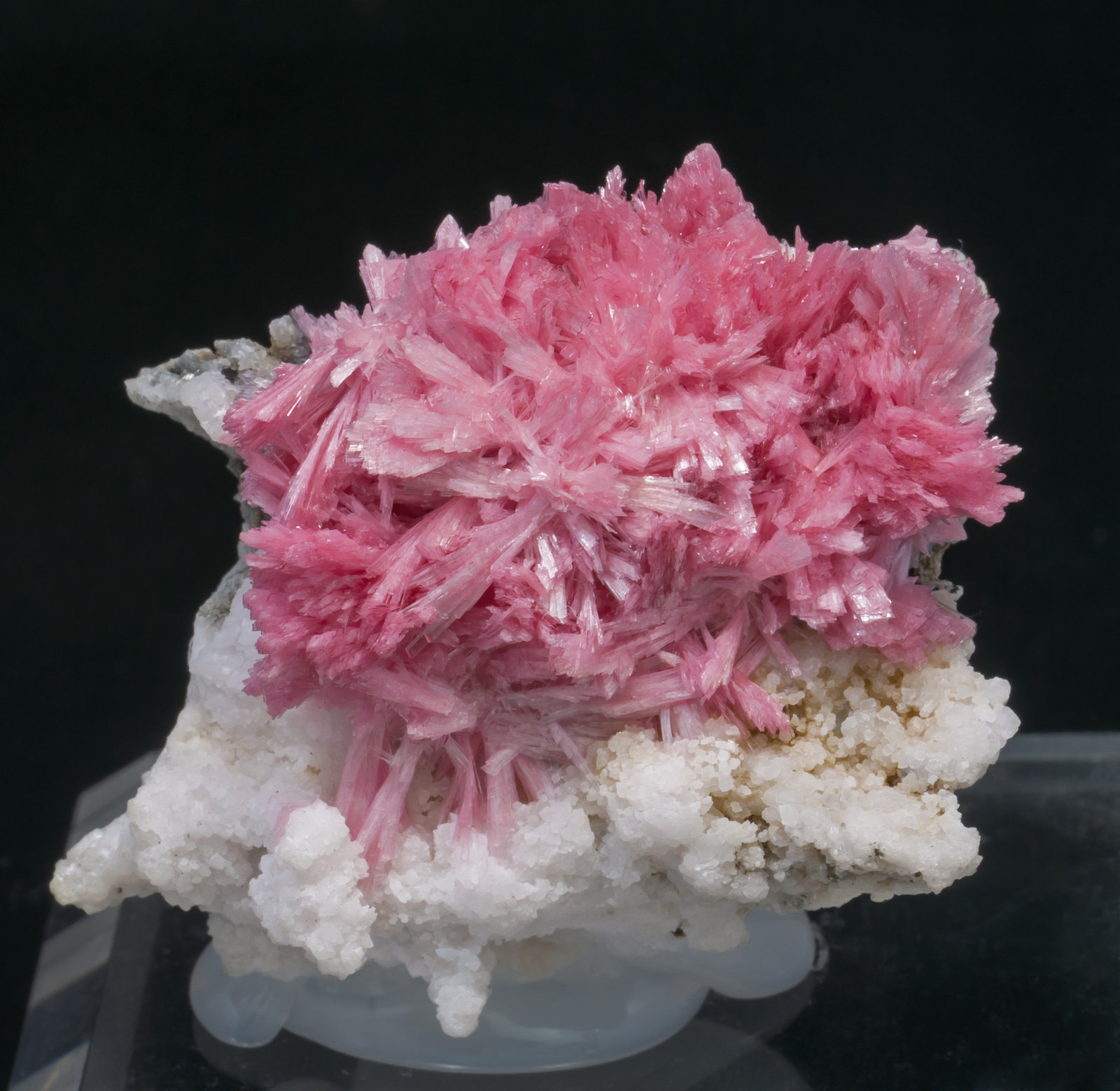 specimens/s_imagesAD1/Rhodonite-TQ52AD1f.jpg