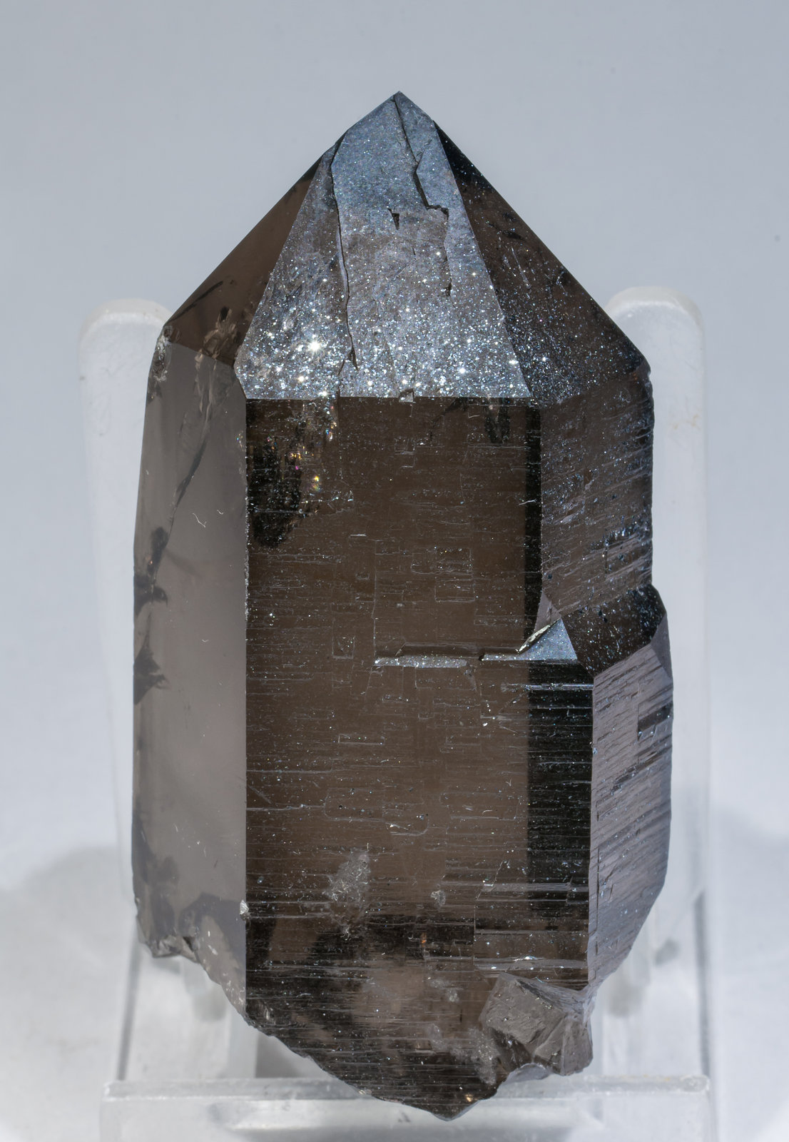 specimens/s_imagesAD2/Quartz_smoky-EX76AD2r.jpg