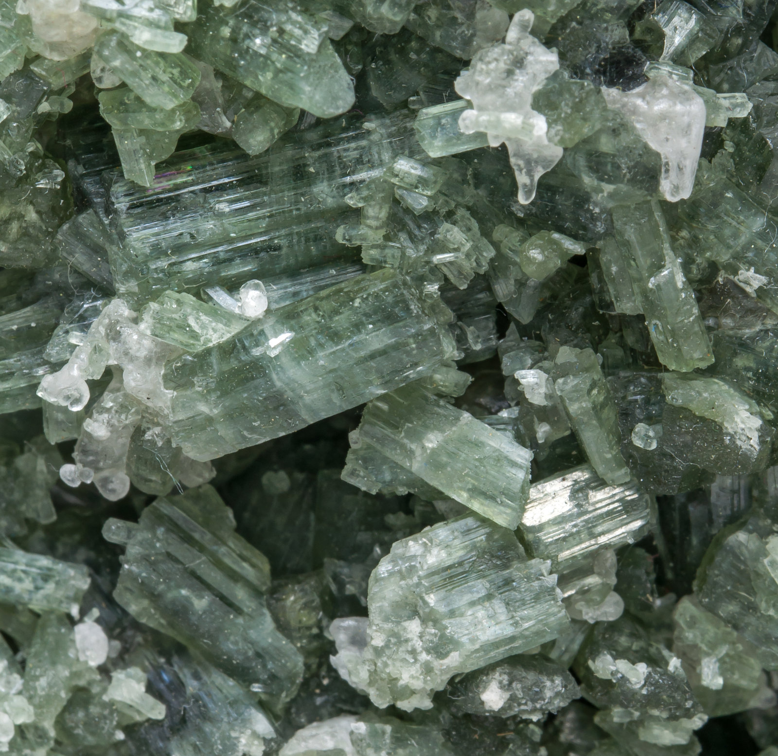 specimens/s_imagesAD2/Tremolite-DB14AD2d.jpg