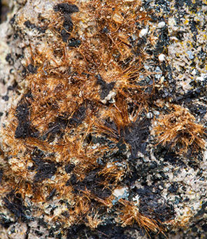 Yuanfuliite with Hematite and Calcite. 