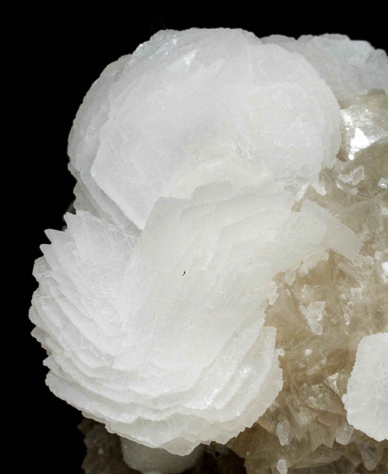 specimens/s_imagesAD3/Calcite-SQ97AD3d.jpg