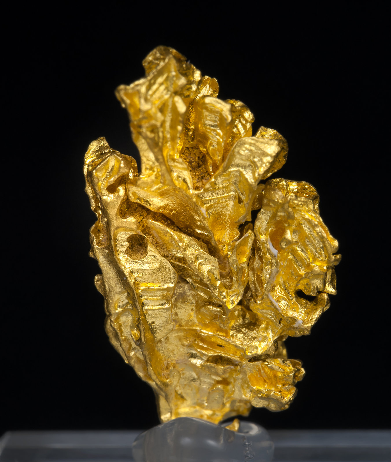 specimens/s_imagesAD3/Gold-TE12AD3r.jpg