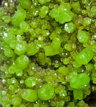 Pyromorphite. 