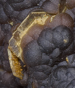 Siderite (variety sphaerosiderite) with Baryte. 