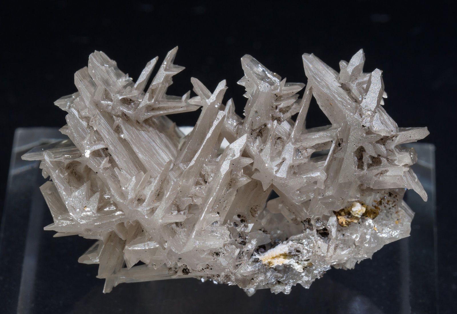 specimens/s_imagesAD4/Cerussite-TC47AD4r.jpg