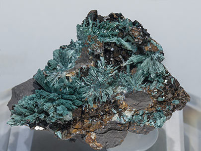 Gormanite with Siderite and Wardite. 