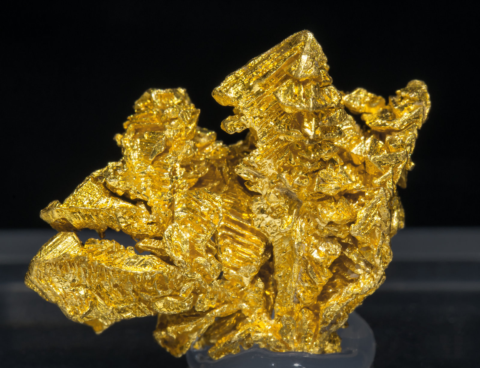 specimens/s_imagesAD5/Gold-TC86AD5f.jpg