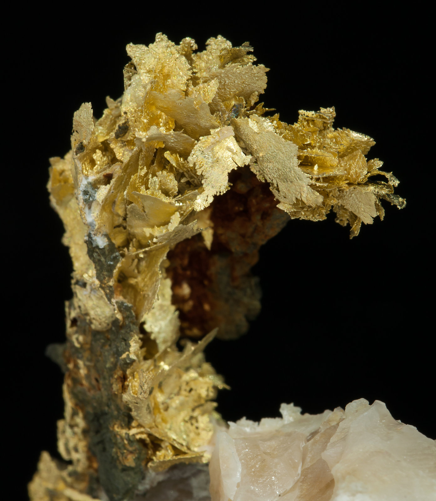 specimens/s_imagesAD5/Gold_electrum-TF67AD5d1.jpg