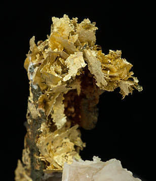 Gold (variety electrum) with Calcite. 