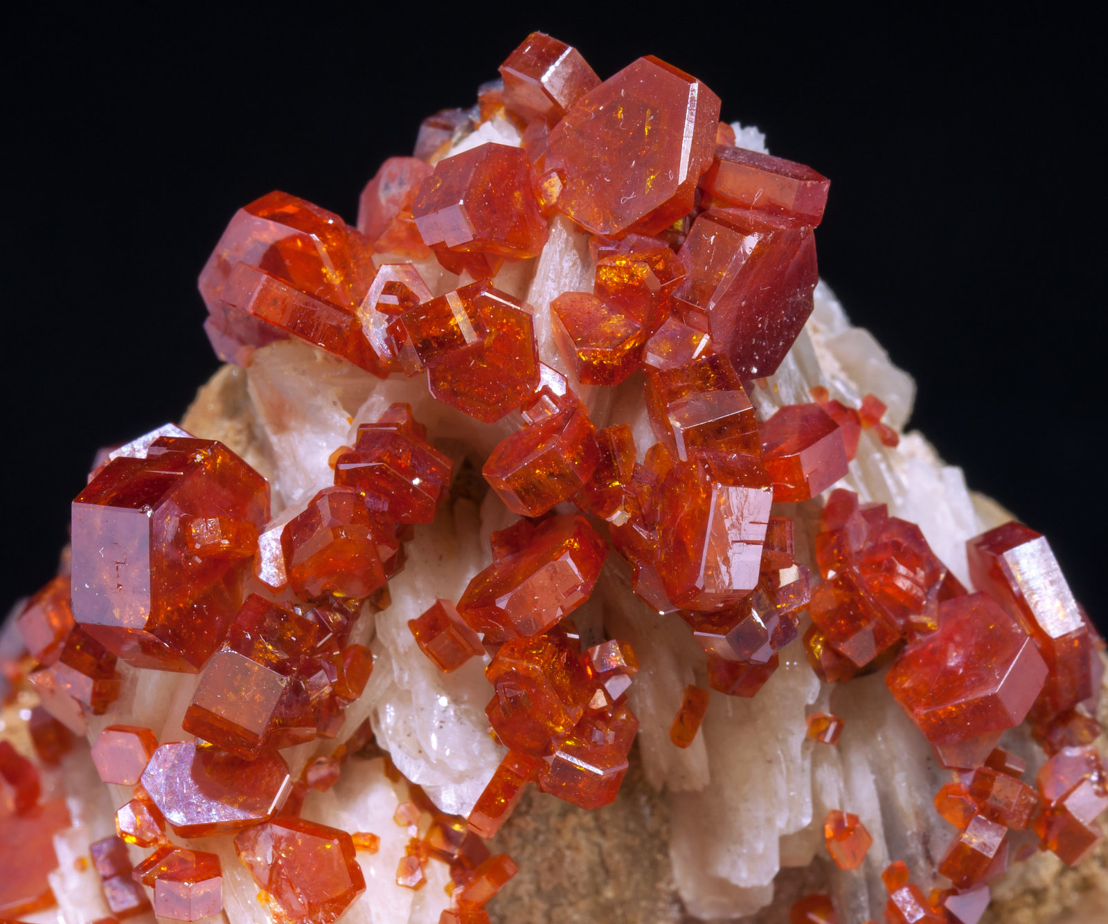 specimens/s_imagesAD5/Vanadinite-DA50AD5d.jpg