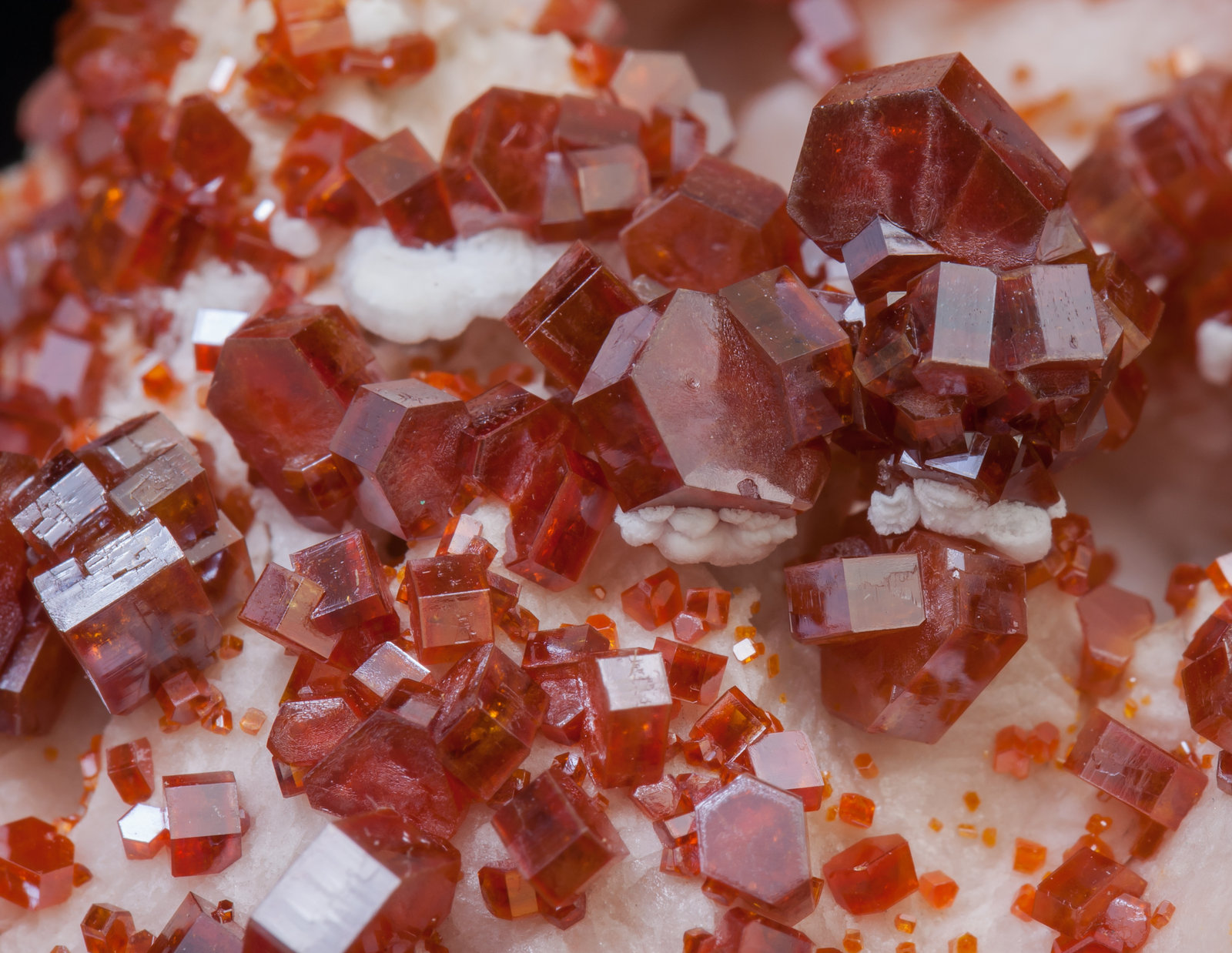 specimens/s_imagesAD5/Vanadinite-JM47AD5d.jpg