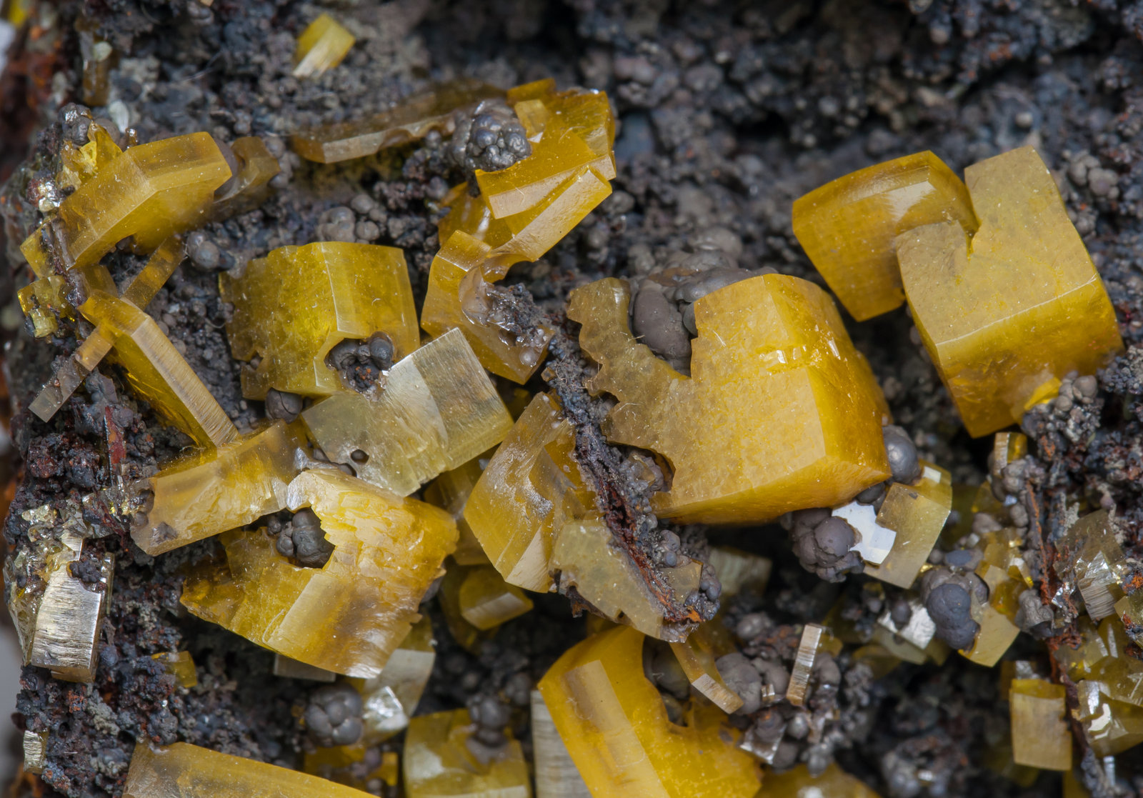 specimens/s_imagesAD5/Wulfenite-TG16AD5d.jpg