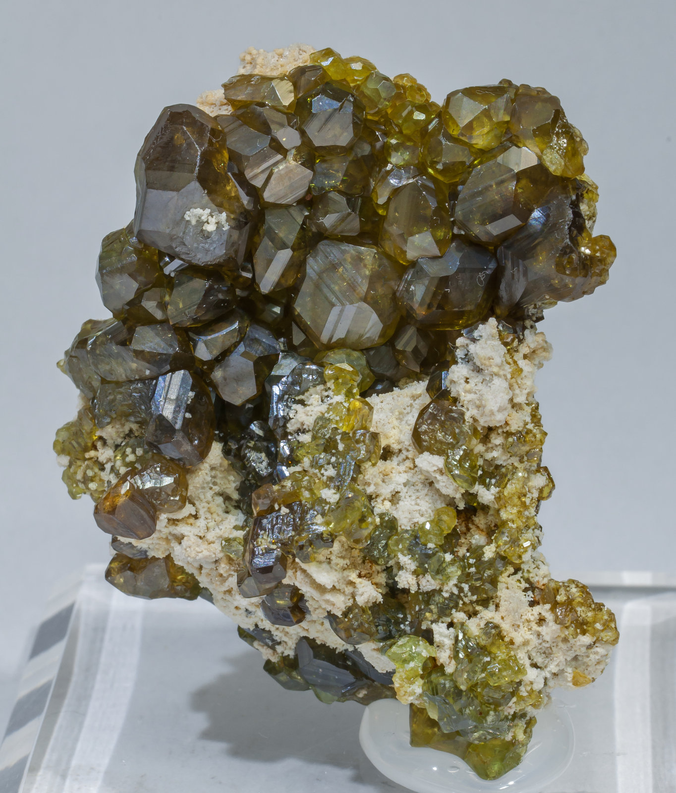 specimens/s_imagesAD6/Andradite_topazolite-TF28AD6f.jpg