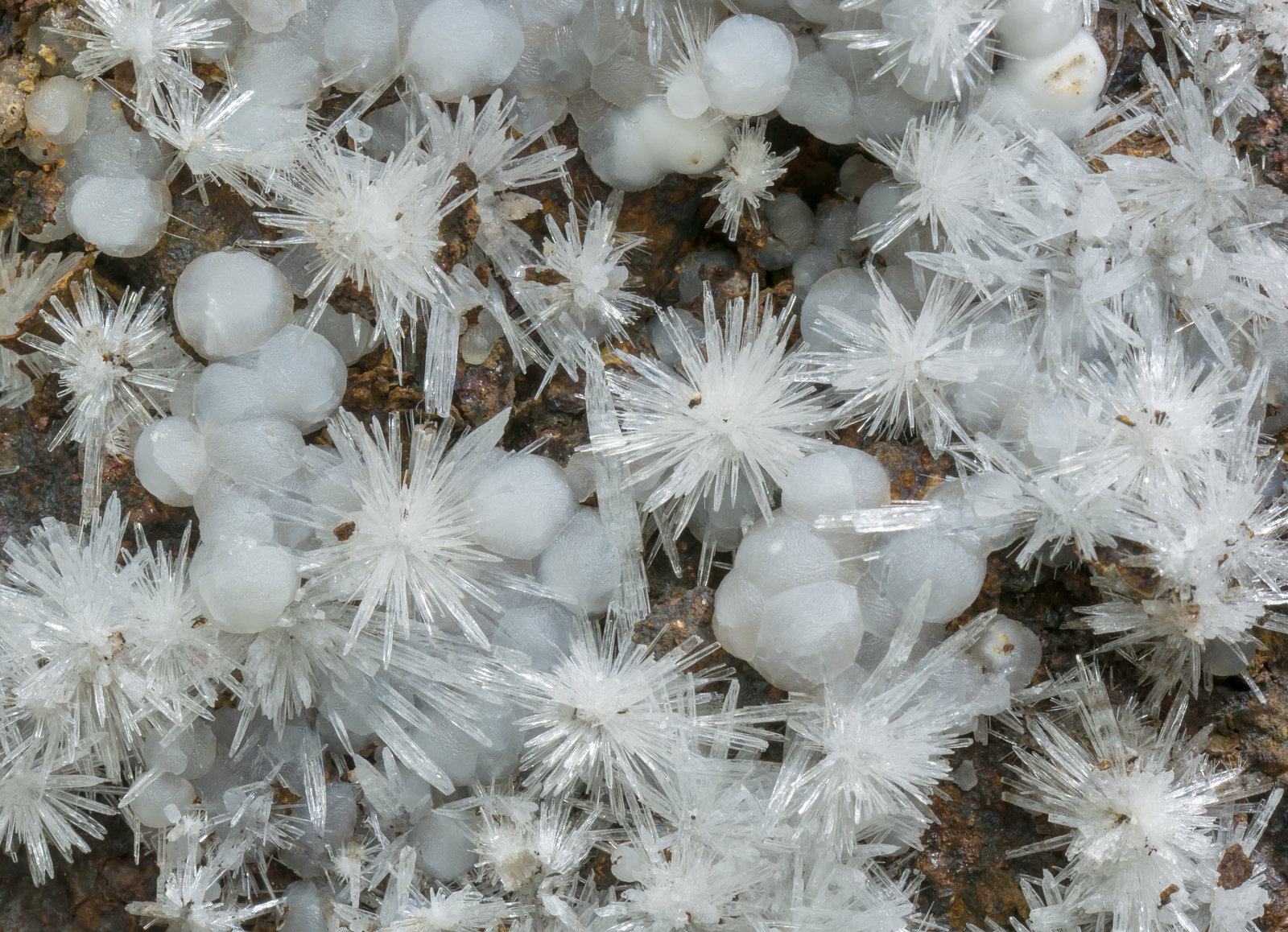 specimens/s_imagesAD6/Aragonite-SA96AD6d.jpg