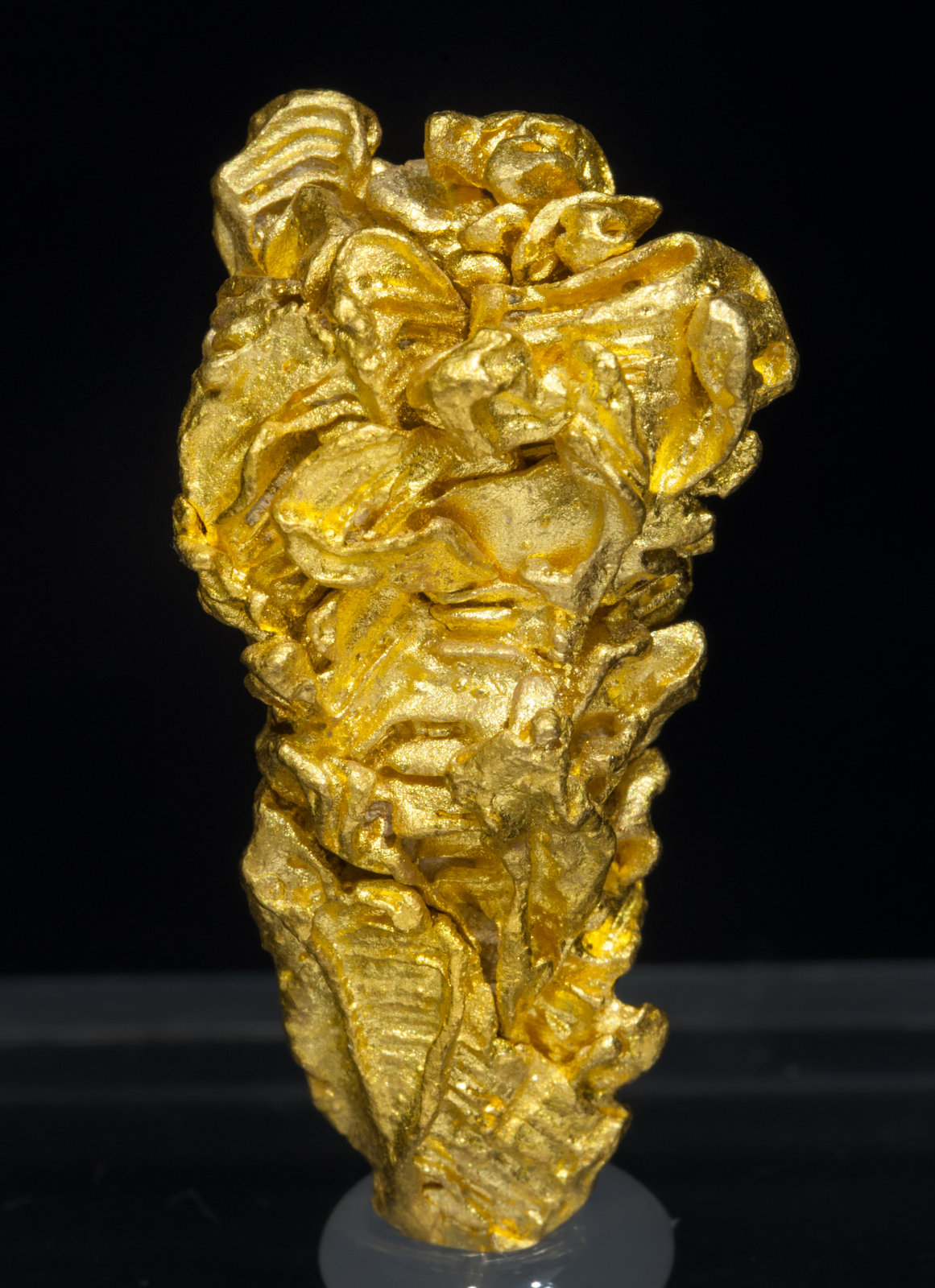 specimens/s_imagesAD6/Gold-EA58AD6f.jpg