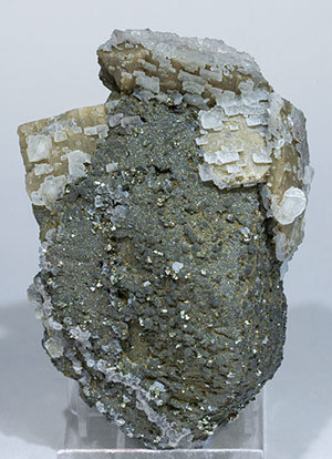 Stannite with Chalcopyrite, Pyrite, Marcasite, Siderite and Calcite.