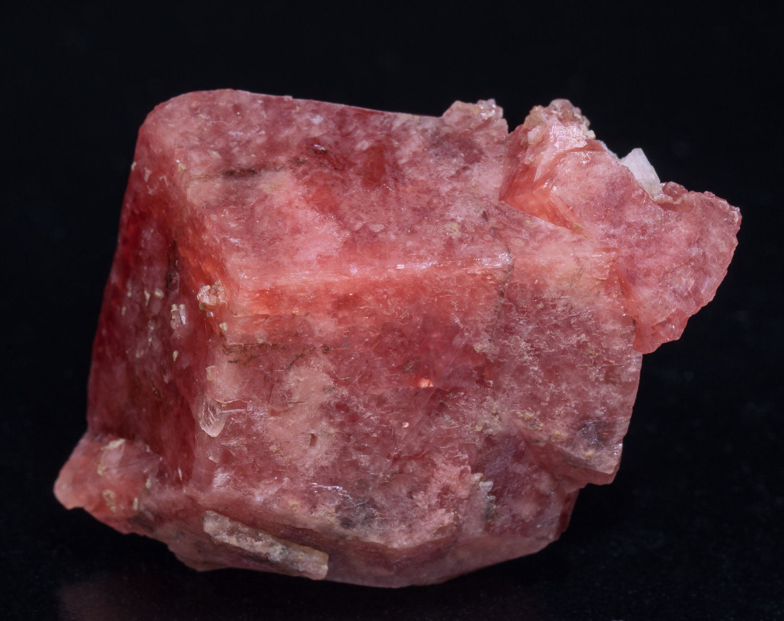 specimens/s_imagesAD7/Rhodochrosite-ET49AD7f.jpg