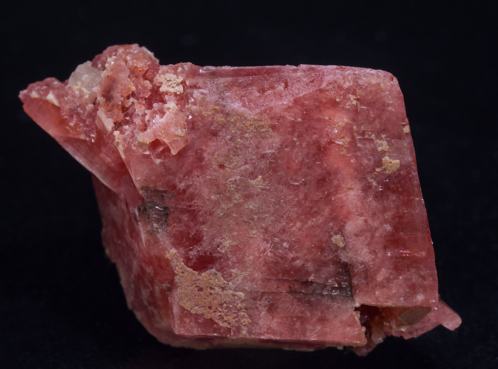 specimens/s_imagesAD7/Rhodochrosite-ET49AD7r.jpg