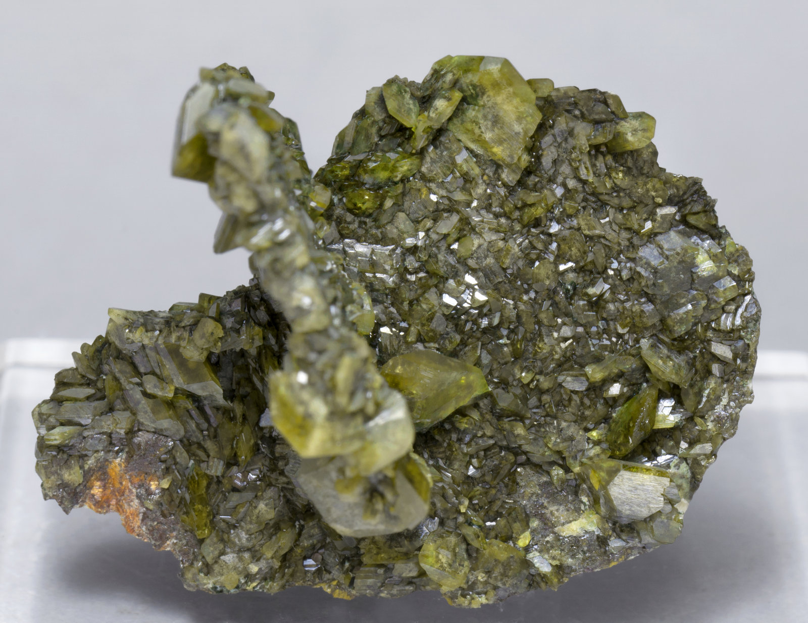 specimens/s_imagesAD7/Titanite-ED96AD7f.jpg