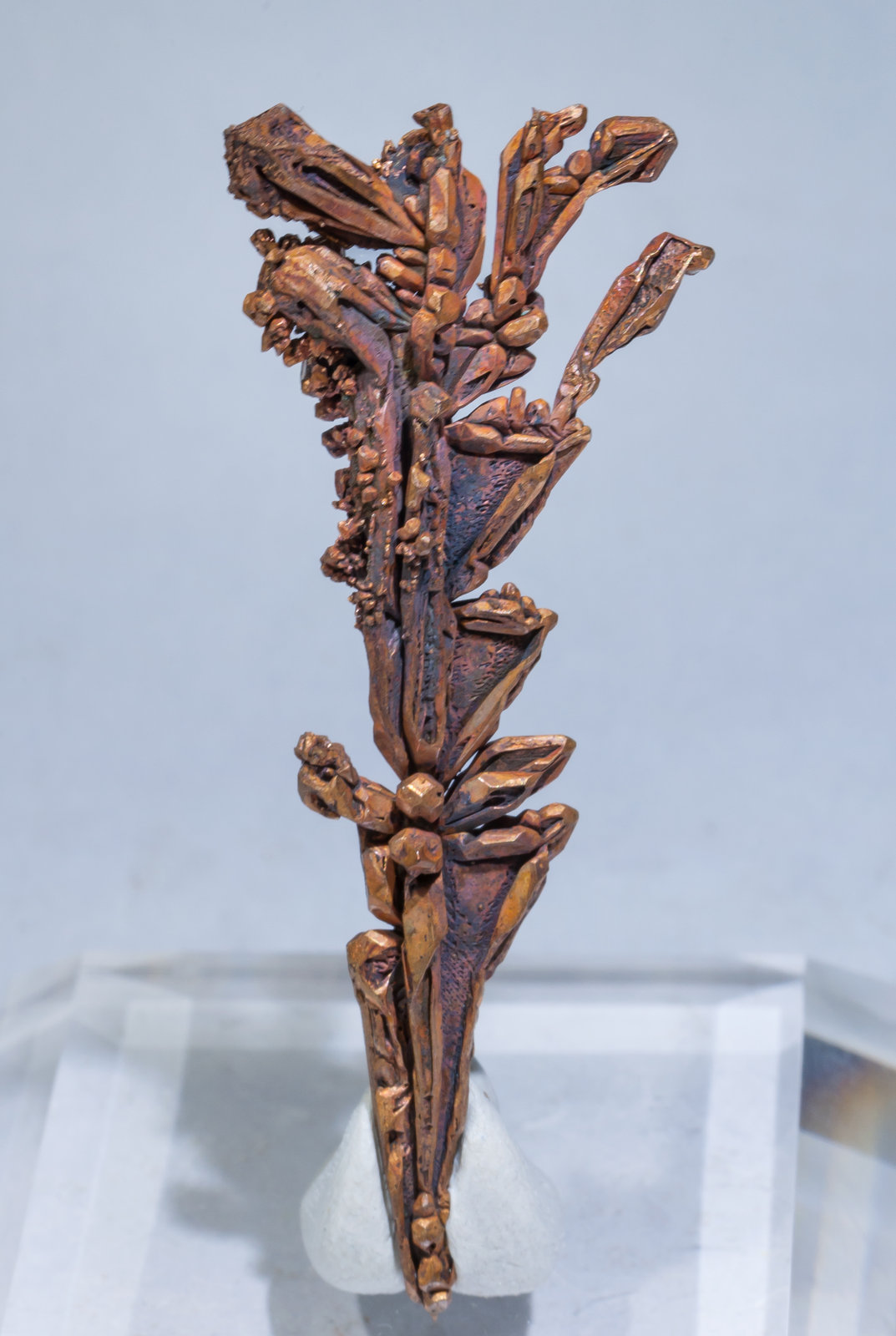 specimens/s_imagesAD8/Copper-ER67AD8f.jpg