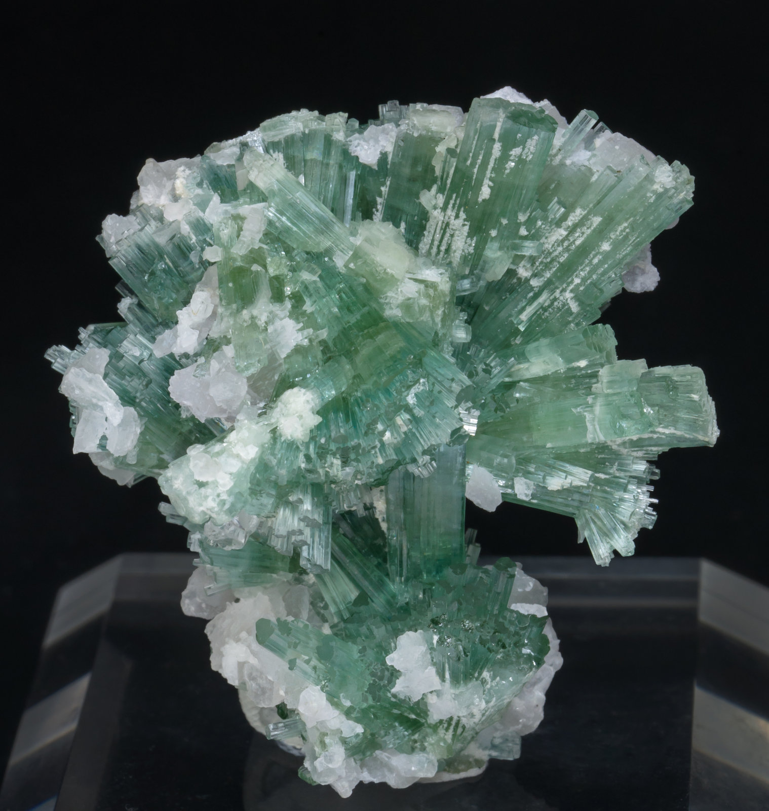 specimens/s_imagesAD8/Elbaite-ET96AD8f.jpg