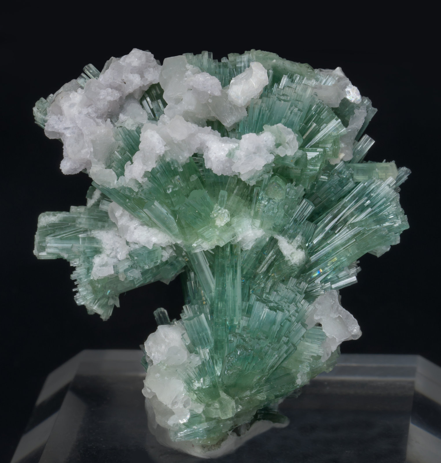 specimens/s_imagesAD8/Elbaite-ET96AD8r.jpg