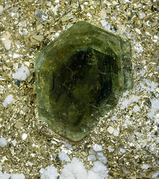 Fluorapatite with Pyrite, Calcite-Dolomite and Muscovite. 