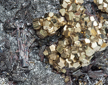 Hutchinsonite with Pyrite. 