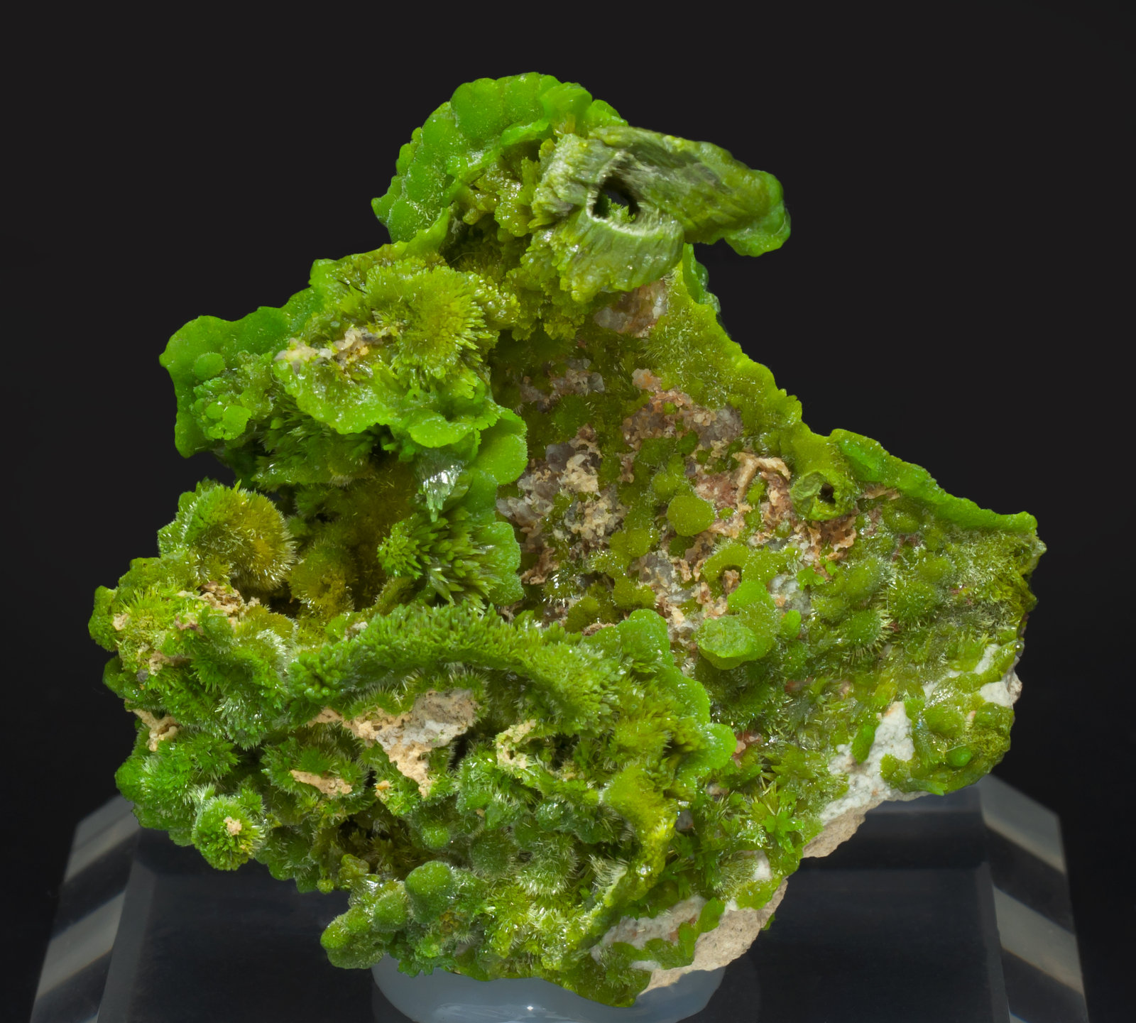 specimens/s_imagesAD9/Pyromorphite-MA96AD9f.jpg