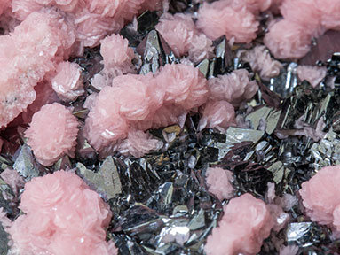 Rhodochrosite with Tennantite-Tetrahedrite (Series). 