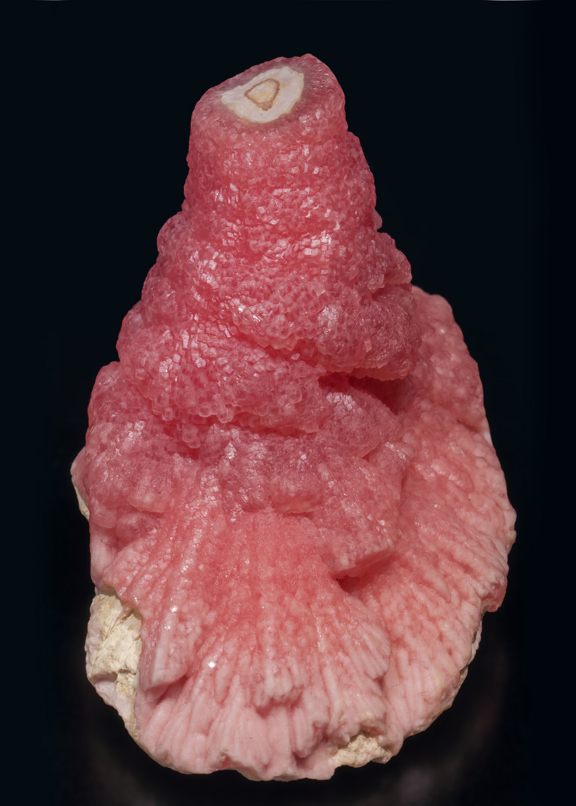 specimens/s_imagesAD9/Rhodochrosite-MT91AD9f.jpg