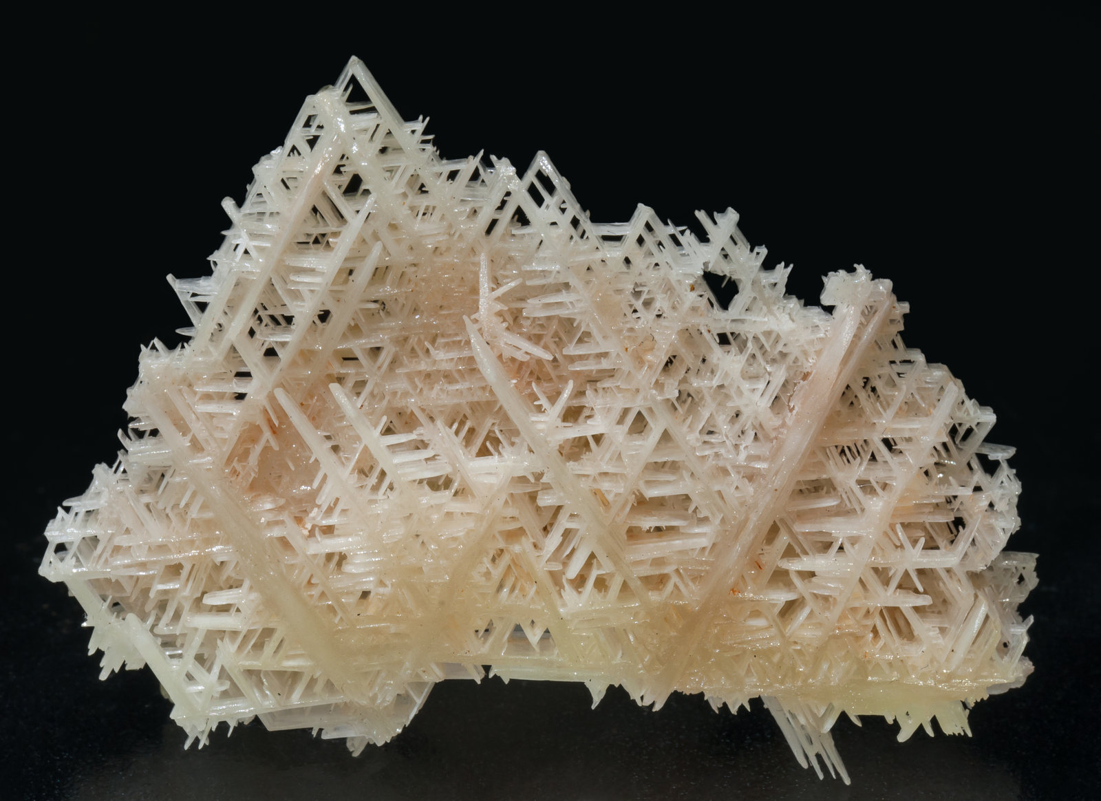 specimens/s_imagesAE0/Cerussite-NA10AE0f.jpg