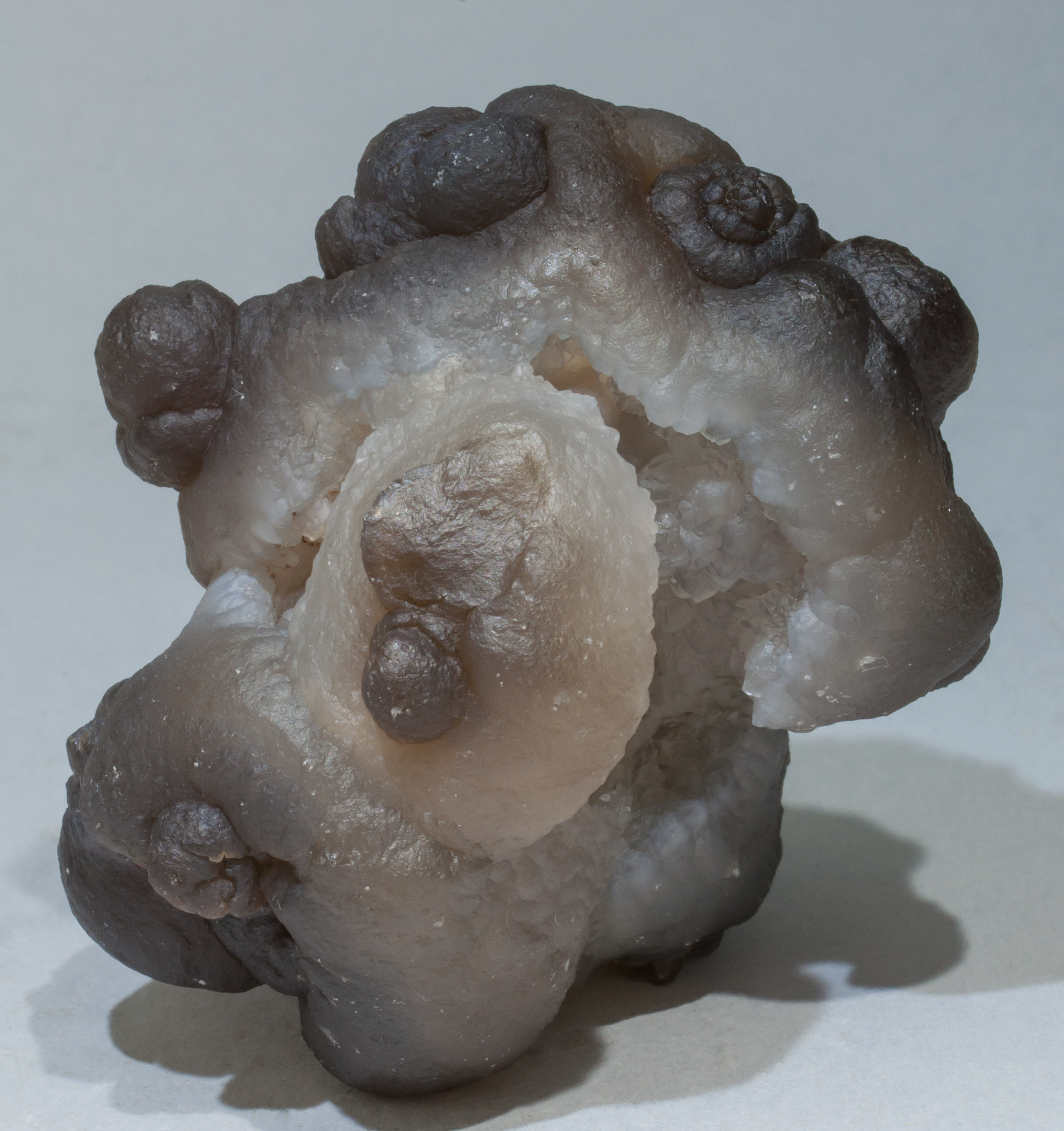 specimens/s_imagesAE0/Quartz_chalcedony-ED11AE0r.jpg