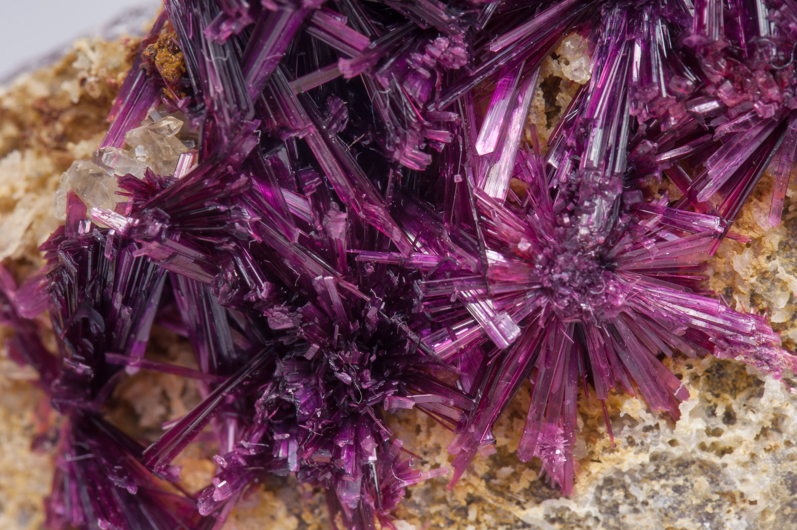 Erythrite with Phlogopite - Tazalarht mining area, Taroudant Province 
